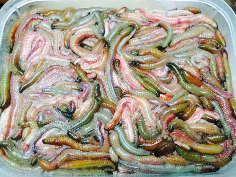 cách làm món bánh đa nem rươi ngon 