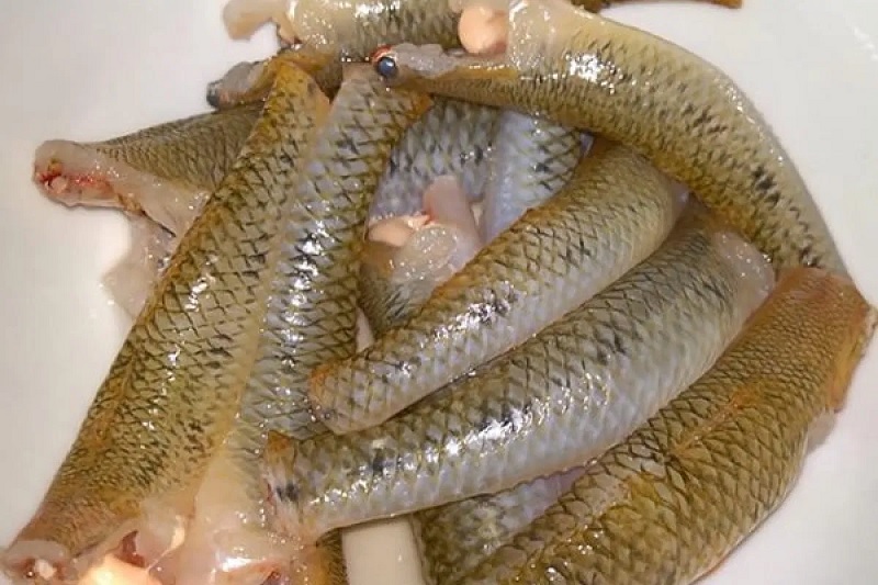 Dinh dưỡng tuyệt vời trong cá bống