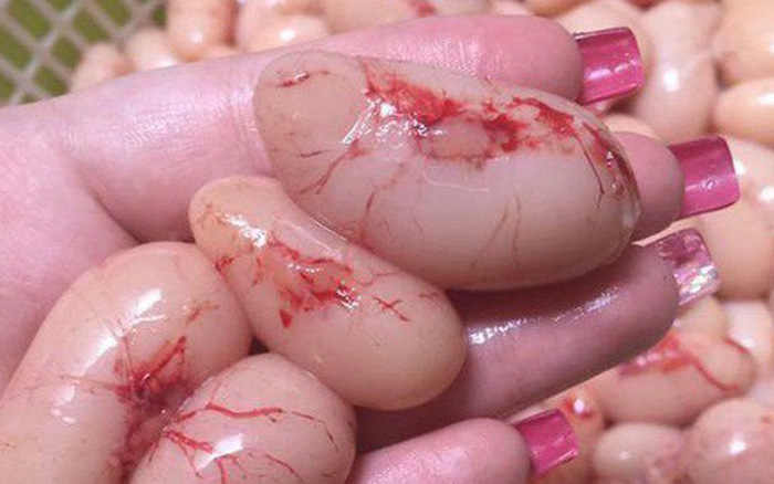 Kê Gà Đông Tảo nấu món gì? Giá bao nhiêu? (120k/lạng)