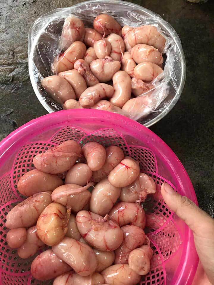 Giá Kê Gà Đông Tảo bao nhiêu? Mua ở đâu?