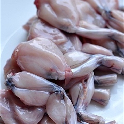 Thịt đùi ếch là phần nào?