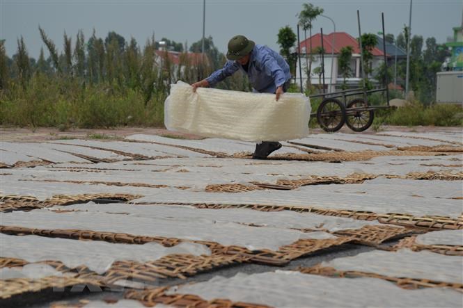 Địa chỉ mua bánh đa nem làng Chều tại Bình Thuận