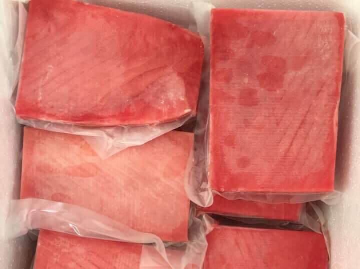 Cá ngừ đại dương saku