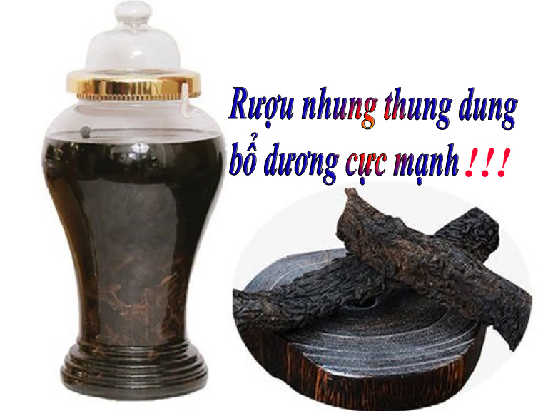 tác dụng của nhục thung dung