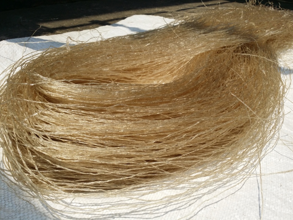 Miến dong bao nhiêu tiền 1 kg?